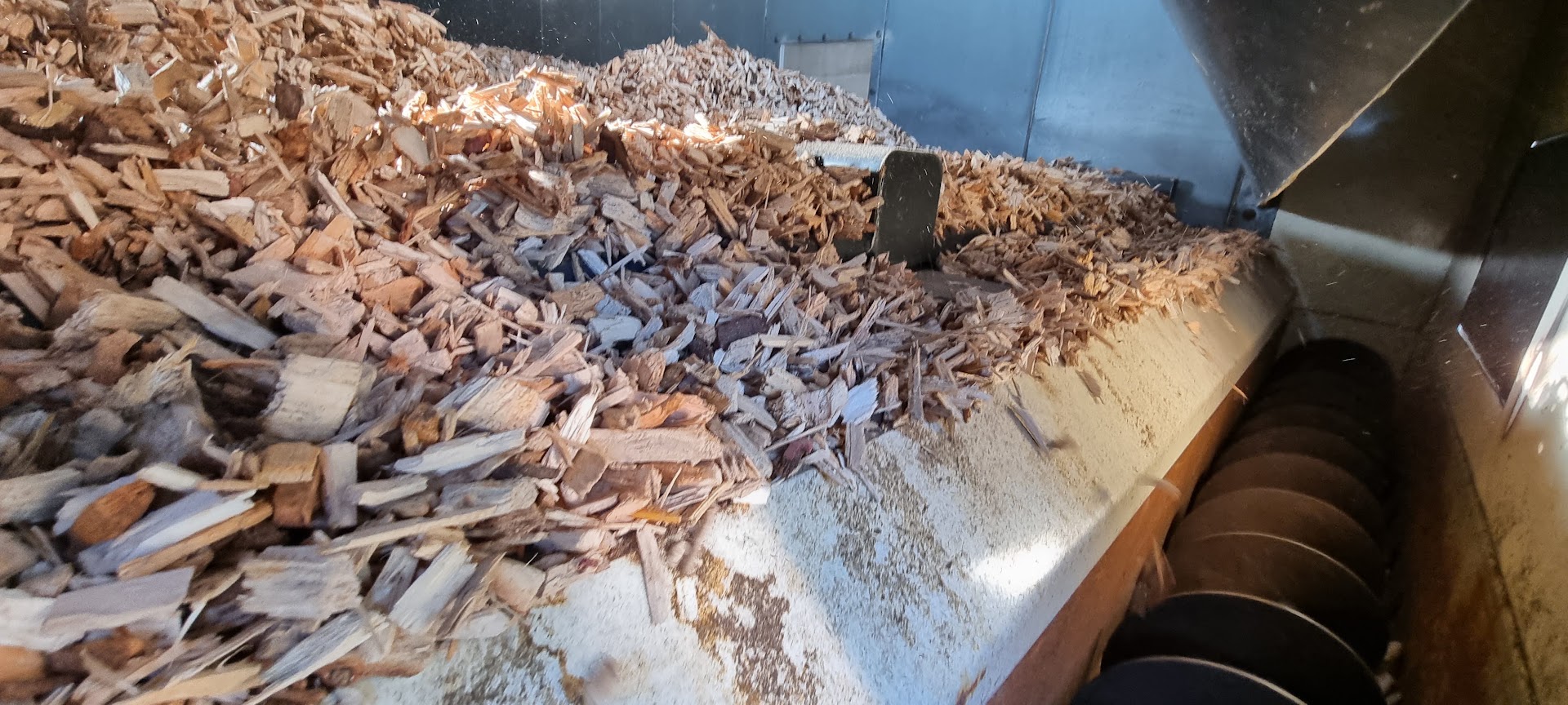 Wood chip on a drying bed for moisture-managed biomass fuel