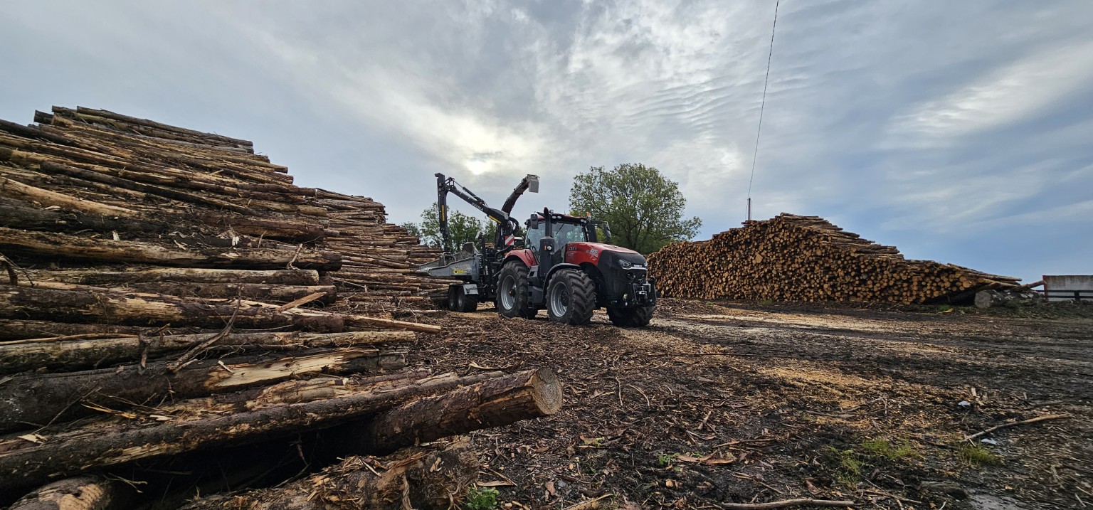 Roundwood stacked roadside for Irish wood fuel supply
