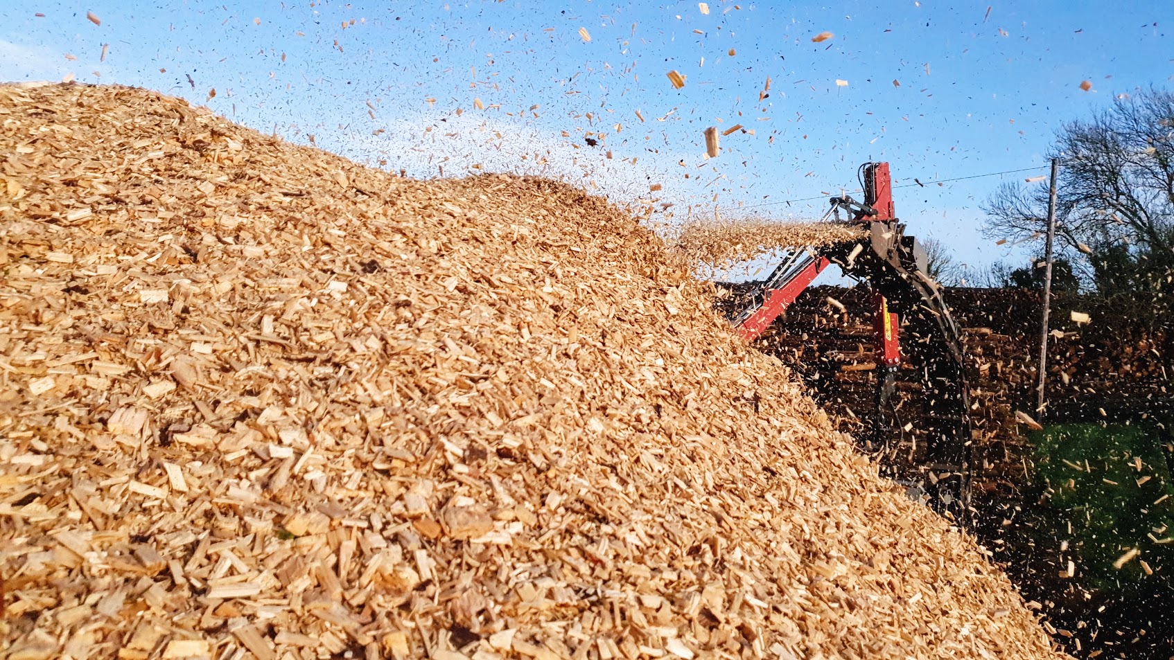 Commercial wood fuel quality context at McCauley Wood Fuels